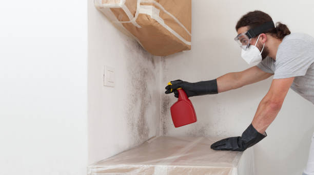 Professional Mold Removal technician working in Massapequa, NY